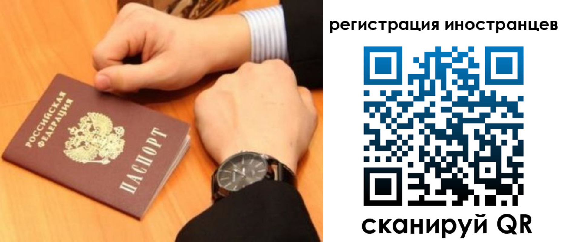 прописка гарантия в Черногорске